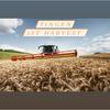 1st Harvest (Explicit) - Tingen