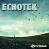 Sky Fall - Echotek