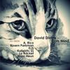 Cats Mind (Original Mix) - David Divine