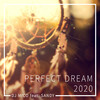 Perfect Dream 2020 (Radio Edit) - DJ Mico&Sandy