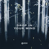 Drop In Your Mind - Benicci&Gavo