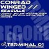 Seagulls (Alpha Force Remix) - Conrad Winged