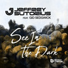 See In The Dark - Jeffrey Sutorius&Gid Sedgwick