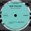 Move It (Original Mix) - Bee Collen