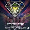 Forever (Hallucinogenix Remix) - Crown Duels