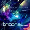 Lifted (Mat Zo Remix - Tritonal EDC Intro Edit) - Tritonal&Cristina Soto