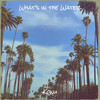 What's in the Water (Explicit) - Konu