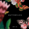 Butterflies - OBEEZY&Jr