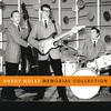 Rock Me My Baby (Album Version) - The Crickets
