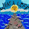 What A Life (Explicit) - AP3X