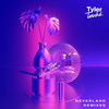 Neverland (L'Tric Remix) - Tyler Touché