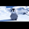 Happy Feet (Explicit) - Saucymall