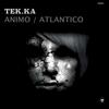 Animo (Original Mix) - Tek.Ka