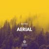 Aerial - Async