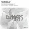 The Morning Vibrations (Original Mix) - Soundmare