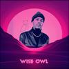 Wise owe (Explicit) - SNA