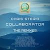 Back in Time (Neptun 505 Remix) - Chris Sterio&Alex Y&Neptun 505