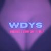 Wdys (feat. E milly) (Explicit) - DanyDiablo&Slimmy Cuare&E MILLY