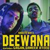 Deewana (feat. The gun) - SAMEER ATEEQ&The Gun