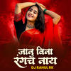 Janu Vina Rangach Naay (DJ Remix) - Rani Maske&Shubham Patil&Sachin Jadhav&DJ Rahul RK&Manoj Bhadakwad