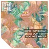 Don't Stop (Acapella) - David Hopperman&Wes Writer