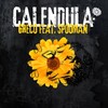 Calendula (Radio Edit) - Greco&Spooman