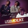 Usibadilike - Dream Boyz&Fille