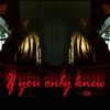 If You Only Knew - The Red Project
