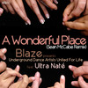 A Wonderful Place (Tomo Pigeon Disco Dub) - Blaze&Udaufl&Ultra Naté