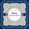 いろんなカタチ - Duca