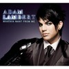 Whataya Want from Me (Nevins Electrotek Radio Edit) - Adam Lambert