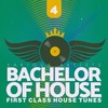 Parlotea (The Extrovert Bass Mix) - Satoshi Mantra