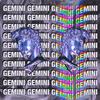 Gemini - Armadillo