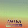 Antea Chorus - Migue Kote