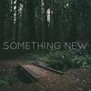 Something New - Townsend