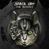 TRANSFORMER (Remix) - Space Cat