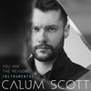 You Are The Reason (Instrumental) - Calum Scott