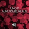 Aurora Borealis (Original Mix) - Juno D
