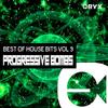 Contradictory (Original Mix) - Wayward Brothers