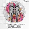 Flygirl Got Dissed (Johan Dresser Remix) - The Sloppy 5th's