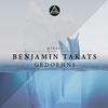 Gedoehns 01 (Thian Remix) - Benjamin Takats