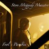 Fool's Paradise (MS III Disco Funk ReSlap) - Steve Miggedy Maestro&Morttimer Snerd III
