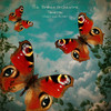 Tomorrow - The Broken Orchestra&Lyn Acton