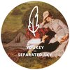 Separated Sky - YouKey