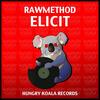 Elicit (Original Mix) - Rawmethod