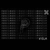 Amnesia (Explicit) - Visla