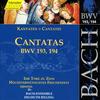 Recitative: Wie konnte dir, du hochstes Angesicht (Soprano) - Judith Beckmann&Stuttgart Bach Collegium&Helmuth Rilling