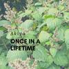 Once in a Lifetime - AKIVA