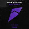 Wait for It - Andy Bianchini