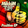 Positive Vibrations (Original Mix) - MikkiM&Mc Turner